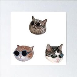 Cool Kitties Poster