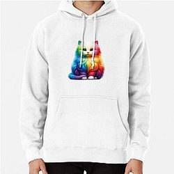 Colorful Rainbow Hoodie