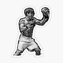K.A.P.A. Boxing Sticker