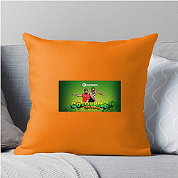 Idea Exchange La Cotorrisa Pillows Cover