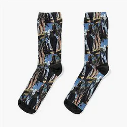 Baldur's Gate 3: Laezel Socks