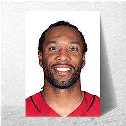 Team Catalyst Larry Fitzgerald Posters
