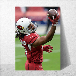 Signal Caller Larry Fitzgerald Posters