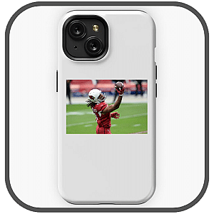 Larry Fitzgerald Cases