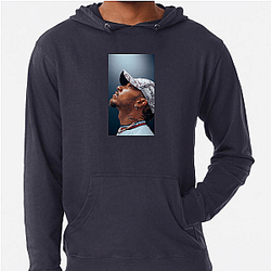 Lewis Hamilton is a very famous athlete Lewis Hamilton Hoodies