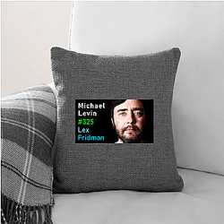 Lex Fridman Podcast hosts experts Lex Fridman Podcast Pillows Cover