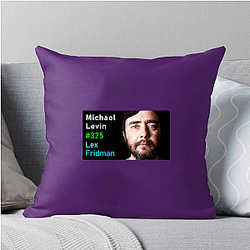 Lex Fridman Podcast hosts experts Lex Fridman Podcast Pillows Cover
