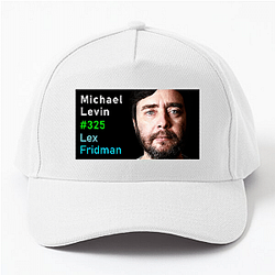 Lex Fridman Podcast hosts experts Lex Fridman Podcast Hats & Caps