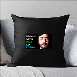 Lex Fridman Podcast hosts experts Lex Fridman Podcast Pillows Cover