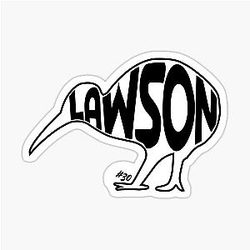 Liam Lawson Kiwi F1 Driver Red Bull Team Sticker