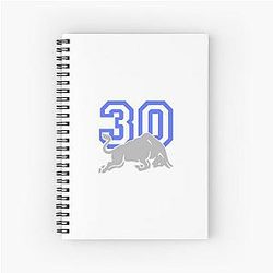 VCARB Formula 1 Notebook Liam Lawson 2025