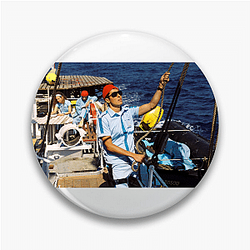 Life Aquatic has a quirky and humorous tone Life Aquatic Pins