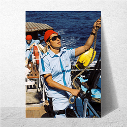 Life Aquatic has a quirky and humorous tone Life Aquatic Posters