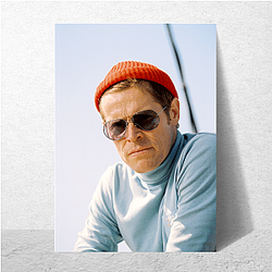 Life Aquatic is known for its unique visual style Life Aquatic Posters