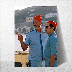 Life Aquatic was directed by Wes Anderson Life Aquatic Posters