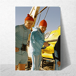 Life Aquatic's plot is about seeking a mythical shark Life Aquatic Posters