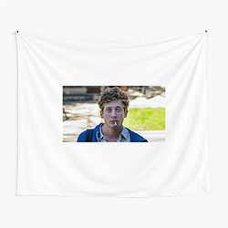 Lip Gallagher Merch Lip Gallagher Tapestries