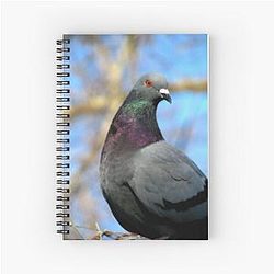 Lonesome Dove Spiral Notebook