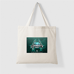 Luminosity Gaming was founded in 2015 Luminosity Gaming Bags