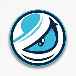 Luminosity Gaming won CSGO Major Luminosity Gaming Pins