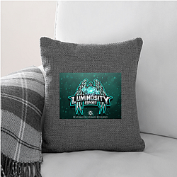 Luminosity Gaming was founded in 2015 Luminosity Gaming Pillows Cover