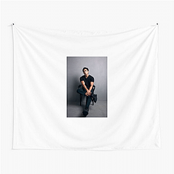 Action Star Mackenyu Tapestries