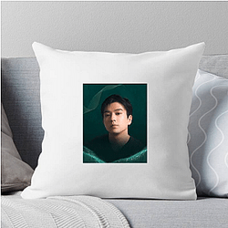 Hollywood Hunk Mackenyu Pillows Cover