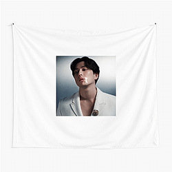 Versatile Actor Mackenyu Tapestries