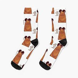 Hello Marcus the Worm Sock