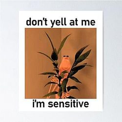 Marcus the worm don't yell at me I am sensitive unisex meme t shirt funny vr chat memes Poster
