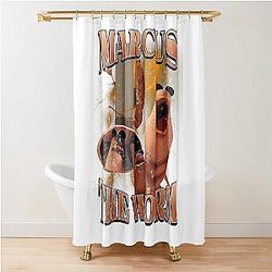 Marcus The Curtain