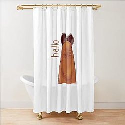 Hello Marcus the Curtain