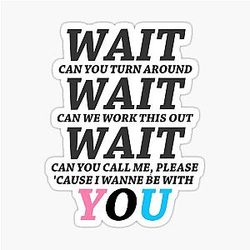 Wait Maroon 5 - Girls Like You Pop Rock Band Sticker