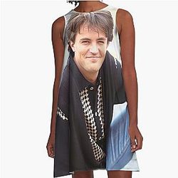 Matthew Perry Young A Line Dress