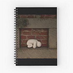 Chameleon Red Spiral Notebook