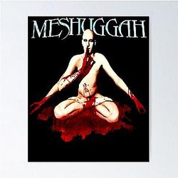 meshuggah star Poster