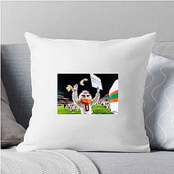 Miami Hurricanes Merch Collection Miami Hurricanes Pillows Cover