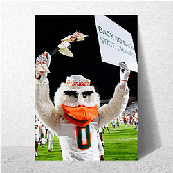 Miami Hurricanes Merch Collection Miami Hurricanes Posters