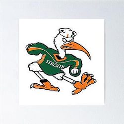 Miami Hurricanes Poster