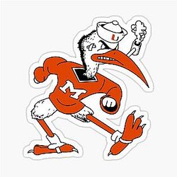 University of Miami Hurricane sticker