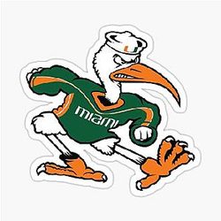 Miami Hurricanes sticker