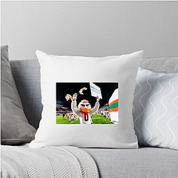 Miami Hurricanes Merch Collection Miami Hurricanes Pillows Cover