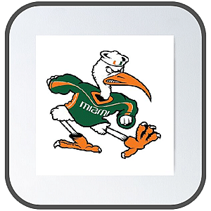 Miami Hurricanes Posters