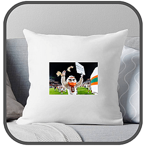 Miami Hurricanes Pillows Cover