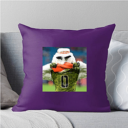 Miami Hurricanes Merch Miami Hurricanes Pillows Cover