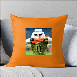 Miami Hurricanes Merch Miami Hurricanes Pillows Cover