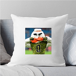 Miami Hurricanes Merch Miami Hurricanes Pillows Cover
