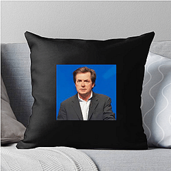 Michael J. Fox Merch Collection Michael J. Fox Pillows Cover