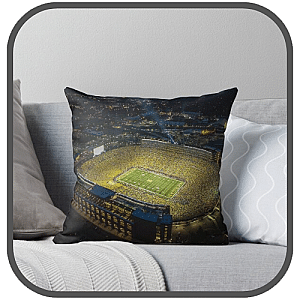 Michigan State Spartans Pillows Cover
