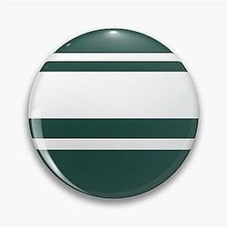 Michigan Football Fans Pin